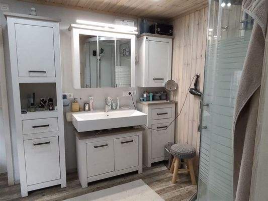 Detail Bad mit Damp-Dusche im EG