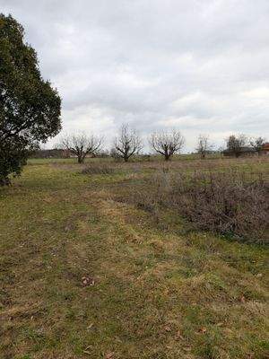 Schoneberg Katzenstraße.jpg