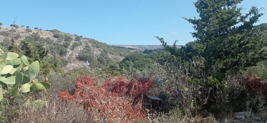 Kreta, Episkopi: Wunderschönes Grundstück mit Meer