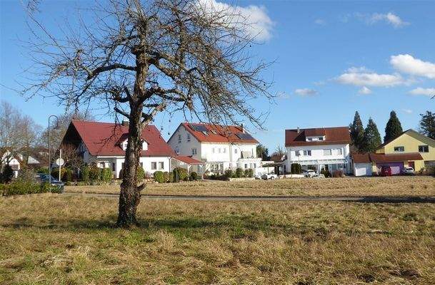 Rommelsbach-Baum-Blick-auf-Strasse