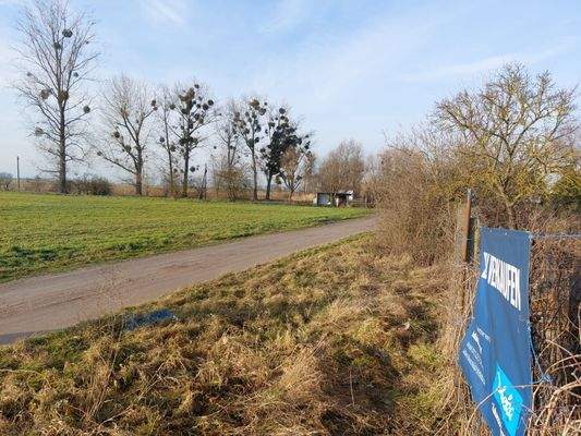 Blick über Feld  (2)