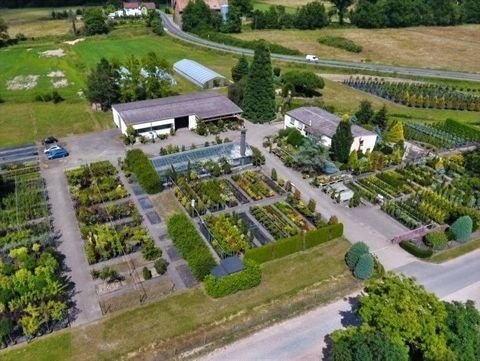 Neustadt Bauernhöfe, Landwirtschaft, Neustadt Forstwirtschaft