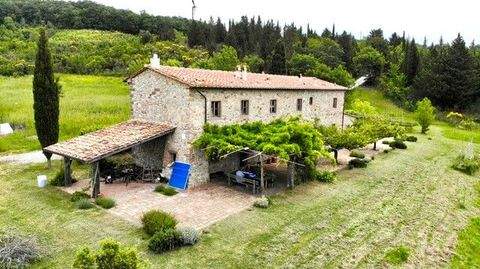 Montecatini Val di Cecina Häuser, Montecatini Val di Cecina Haus kaufen