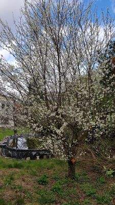 WhatsApp Image 2026-01-22 at 17.03.25(1).jpeg