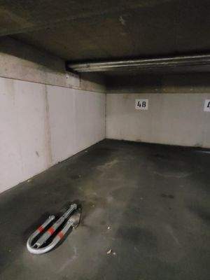 WhatsApp Image 2026-01-14 at 11.34.55.jpeg