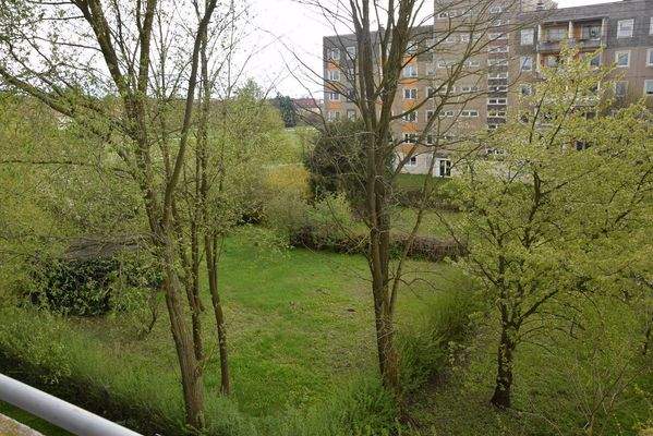 Blick ins Grüne aus dem Fenster 63c Balkon
