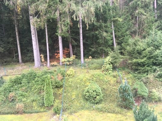 Ausblick vom Balkon