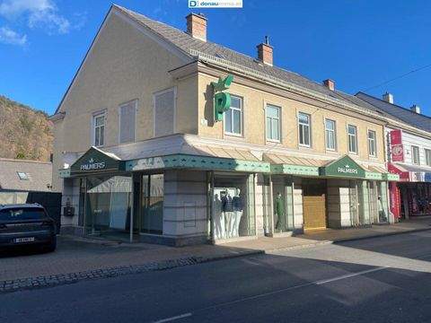 Gloggnitz Ladenlokale, Ladenflächen 