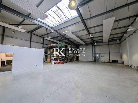 Hollenstedt Halle, Hollenstedt Hallenfläche