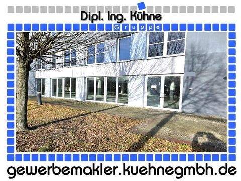 Berlin Ladenlokale, Ladenflächen 