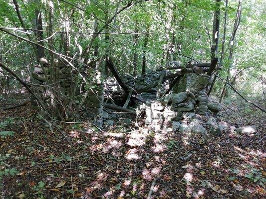 Immagine WhatsApp 2023-11-09 ore 14.26.02_66355cb5