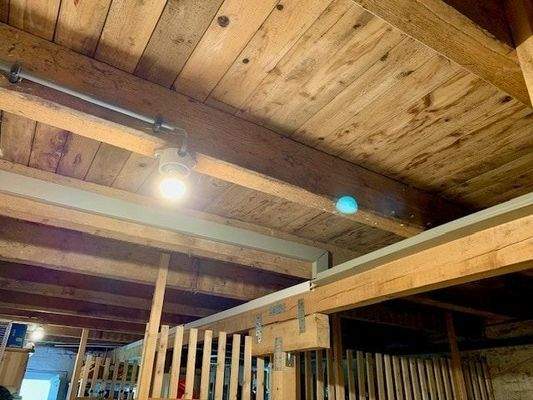 EG Abstell- und Lagerflächen