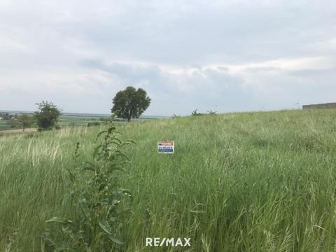 Nickelsdorf Grundstücke, Nickelsdorf Grundstück kaufen