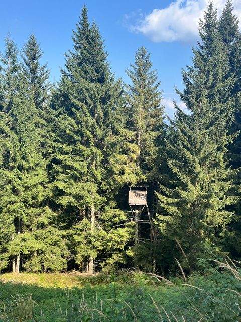 Sternberg Bauernhöfe, Landwirtschaft, Sternberg Forstwirtschaft