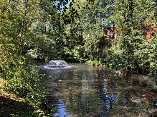 Park mit Wasserspiel