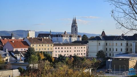 Wiener Neustadt Wohnungen, Wiener Neustadt Wohnung kaufen