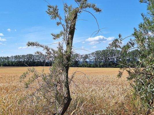 Blick Richtung Waser