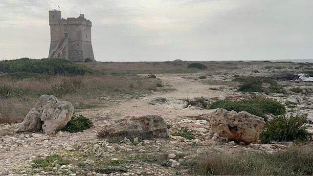 Torre Squillace – fertigzustellendes Wohnprojekt direkt am Meer