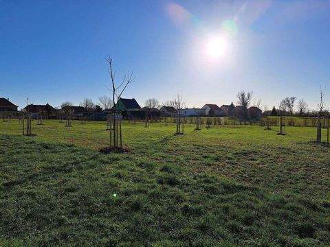 Mühlberg/Elbe Grundstücke, Mühlberg/Elbe Grundstück kaufen