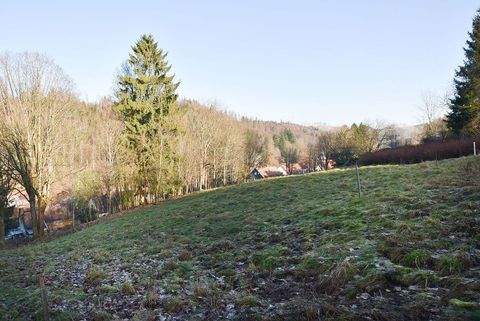 Altenau, Harz Grundstücke, Altenau, Harz Grundstück kaufen