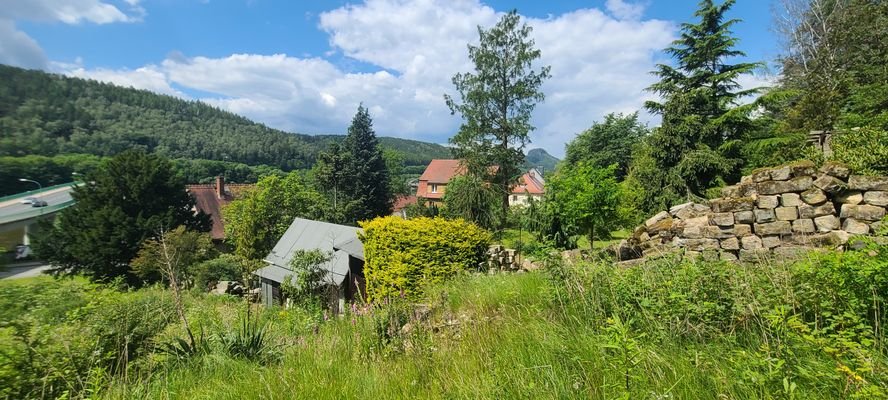 Blick zum Lilienstein.jpg