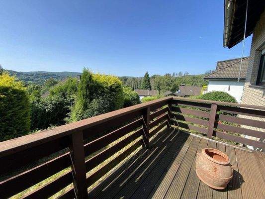 22) Nochmaliger Ausblick ins Grüne ...