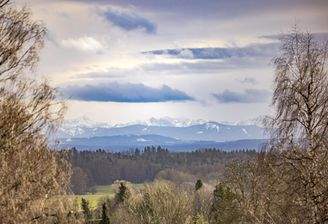 Fernblick