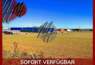 INFOS UNTER: 06171-586000