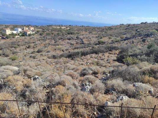 Kreta, Kokkino Chorio: Riesiges Grundstück mit Meerblick zu verkaufen