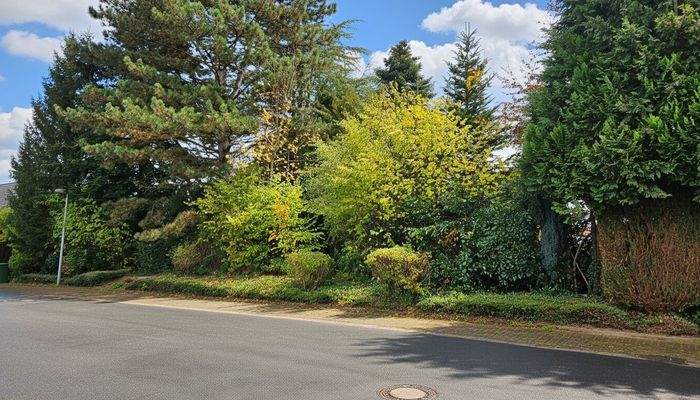 Blick vom Gehweg auf das Baugrundstück