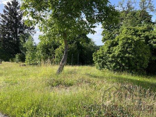 Ansicht Grundstück Pyrbaum19