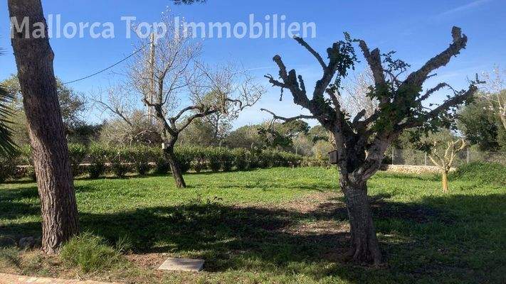 Finca Anwesen in Cas Concos