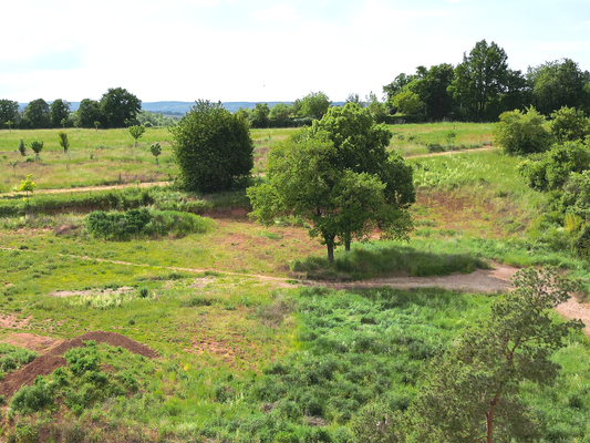 Neubaugebiet Baumdickers Mühle