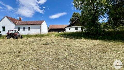 Harth Häuser, Harth Haus kaufen