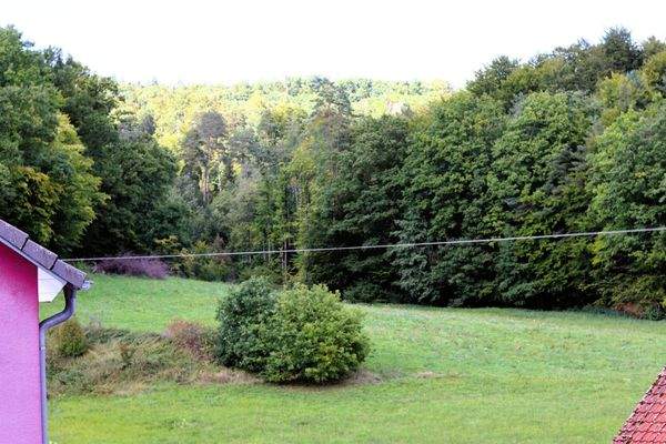 Ausblick aus dem Haupthaus - Straßenseite. Natur und Wald