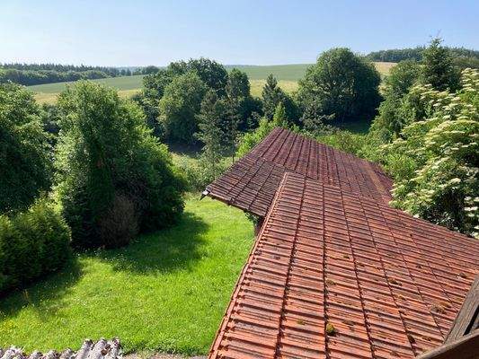 Dach Nebengebäude mit Garten