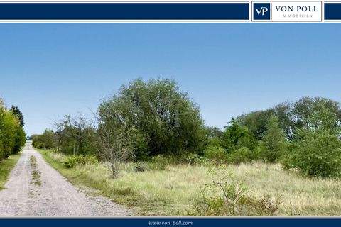 Suhlendorf / Wellendorf Grundstücke, Suhlendorf / Wellendorf Grundstück kaufen