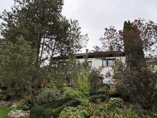 Ansicht aus Westen vom Garten aus