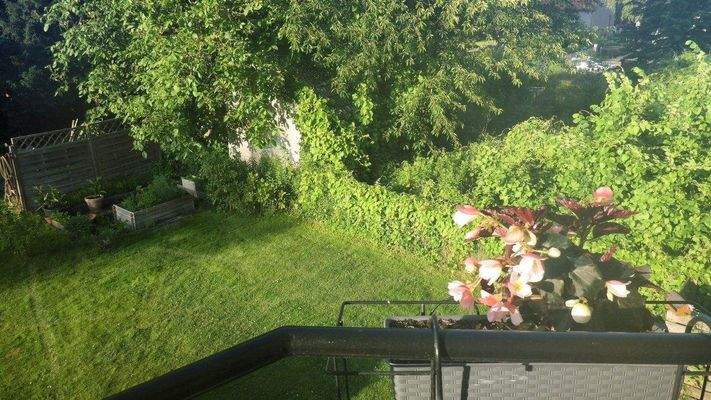 Garten (7).jpg