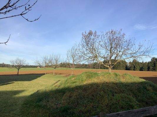 2025-12-18 13.42.47_compressed