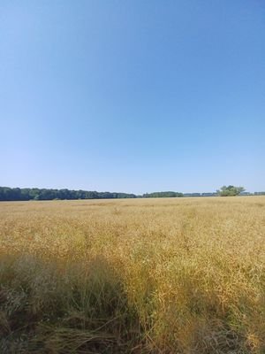 20220720_104921.jpg