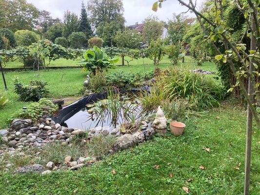 ... ein kleiner Teich, noch eine Abwechslung ...