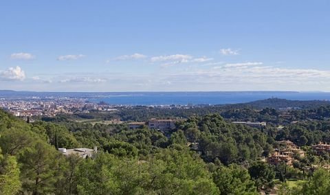 Palma De Mallorca Grundstücke, Palma De Mallorca Grundstück kaufen