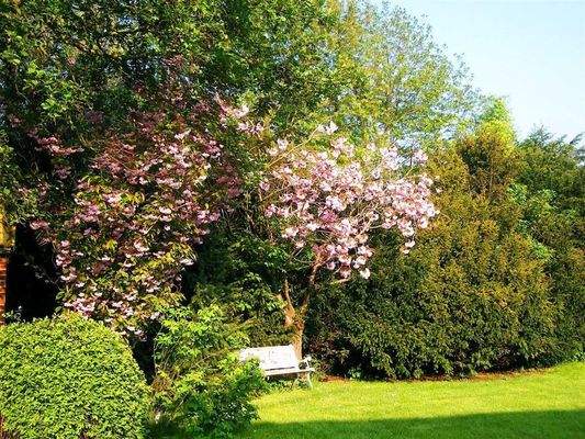 Idyllisches Plätzchen