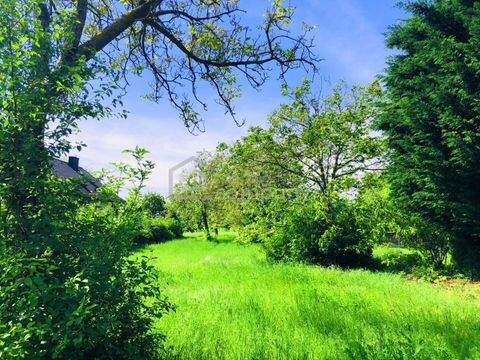 Breitenbrunn am Neusiedler See Grundstücke, Breitenbrunn am Neusiedler See Grundstück kaufen