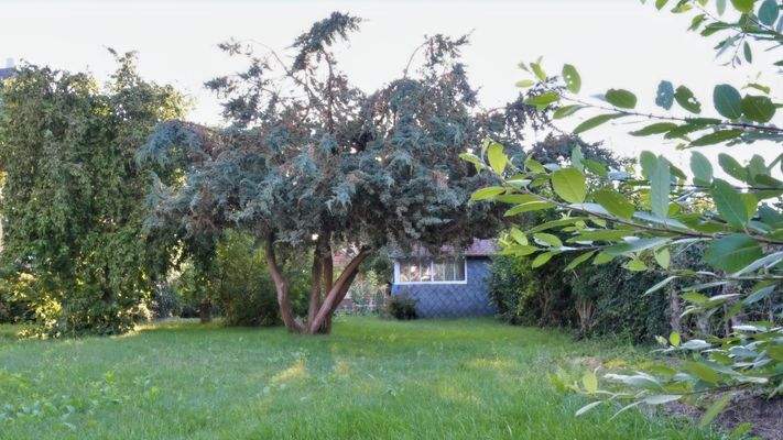 schöner Gartenbereich.JPG