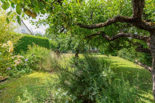 Garten Impressionen