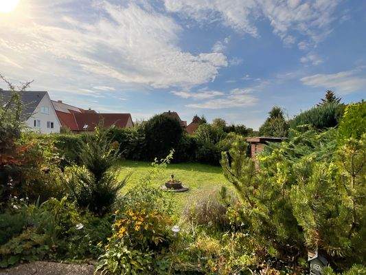 Blick in den Garten