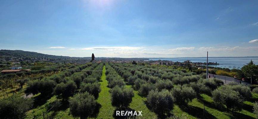 Wohnung - Aussicht (4)