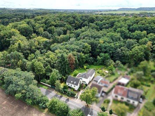 Villa mit Parkgrundstück und Pool in Beaumarais